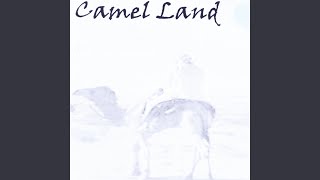 Video thumbnail of "Bill Bergin - Camel Land"