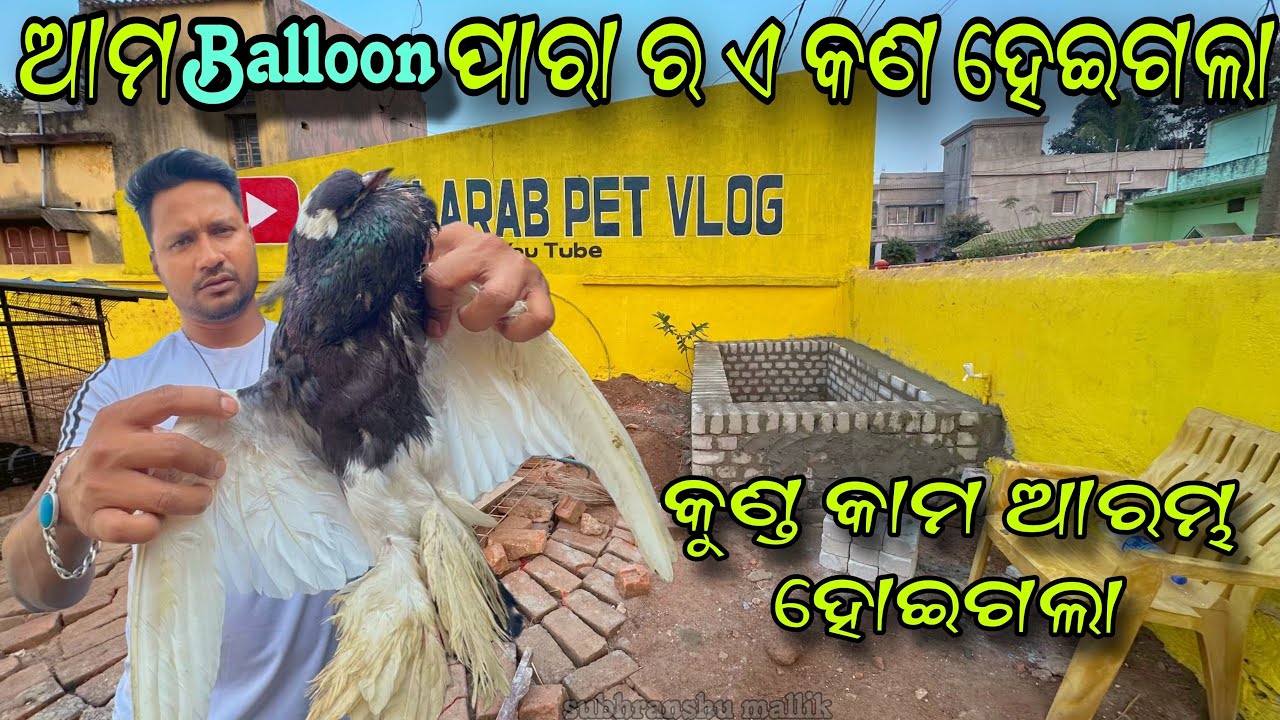 ଆମ Balloon ପାରା ର ଏ କଣ ହେଇଗଲା ?|| କୁଣ୍ଡ କାମ ଆରମ୍ଭ ହୋଇଗଲା || Mini Zoo || Doberman dog || Gsd dog ||