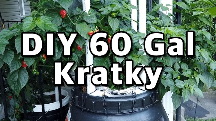 how to build a large 60-gallon Kratky hydroponic s...