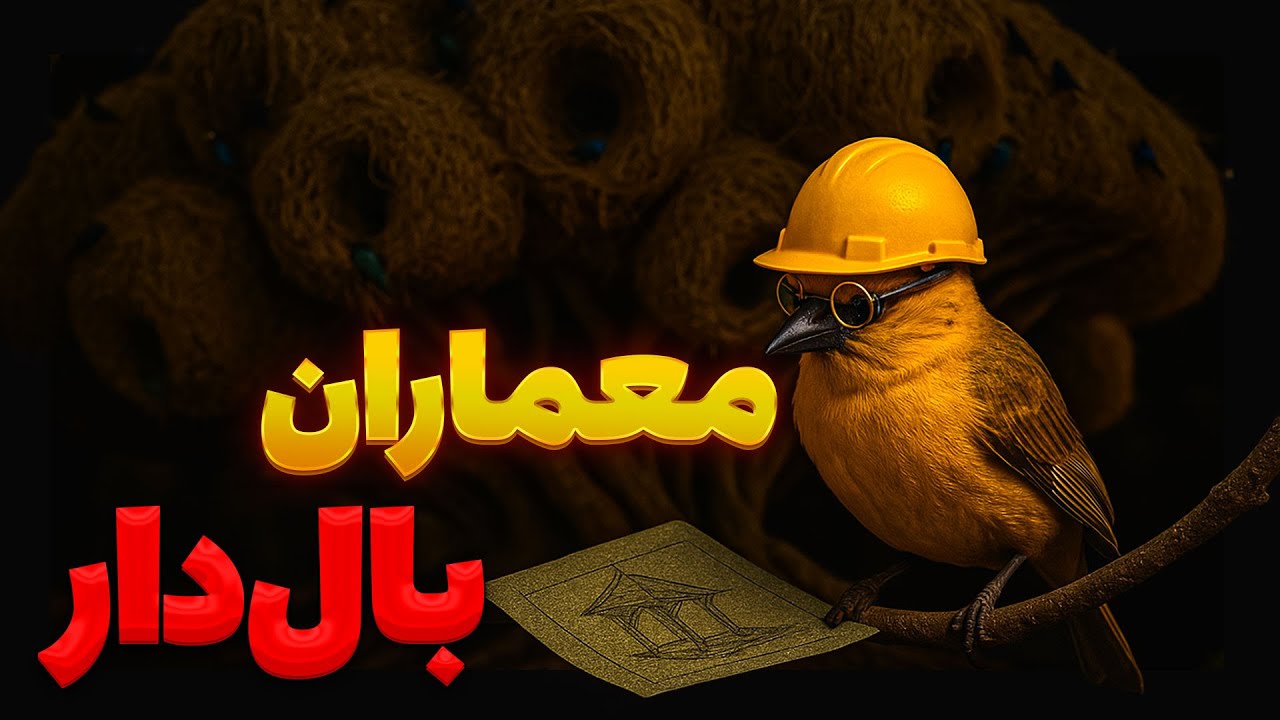 چطور یاد گرفتن چطور به انسان یاد دادن؟ بهترین معمارهای طبیعت