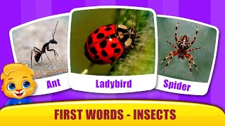 Baby's First Words #5 -  Learn Insect Names and Sounds with Lucas! | RV AppStudios Games screenshot 1