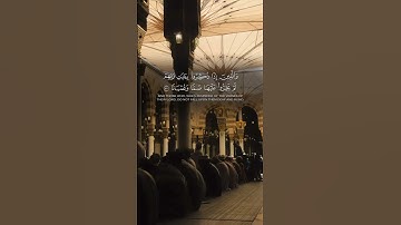 القارئ الشيخ أحمد بن طالب ♥️🕊️تلاوة هادئة ☁️🍂 #المصحف