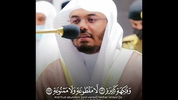 وَأَصْحَابُ الْيَمِينِ ~ تلاوة كردية جميلة تشرح الصدر ما تيسر من سورة الواقعة للشيخ ياسر الدوسري 😴🤍
