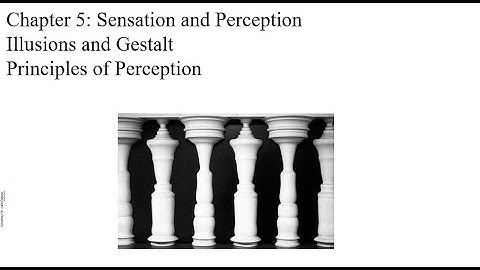 Video Lecture Chapter 5 Gestalt Principles of Perception and Illusions