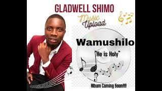 Wamushilo - Gladwell Shimo ( Official Audio)