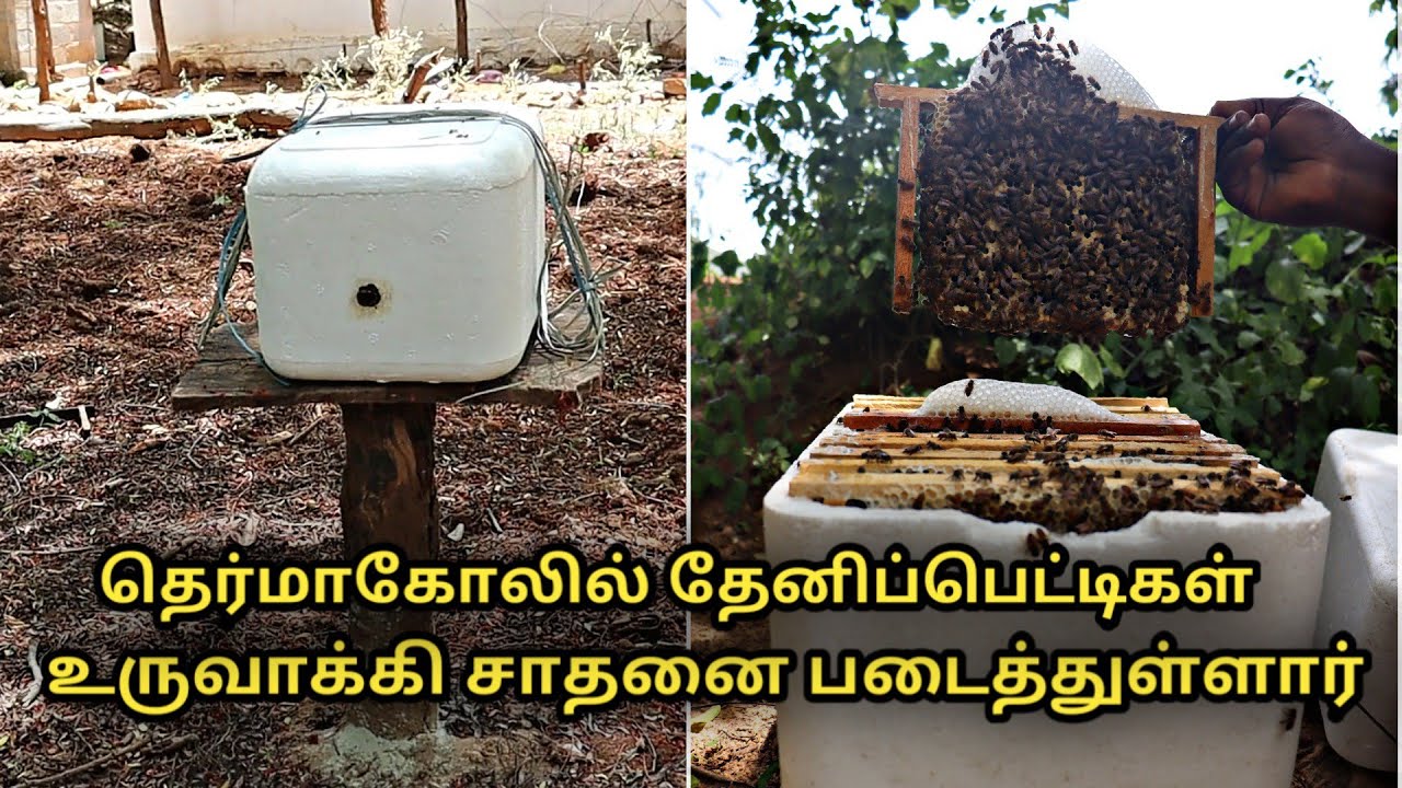 தெர்மாகோலில் தேனிப்பெட்டிகள் உருவாக்கி சாதனை படைத்துள்ளார் thermocol