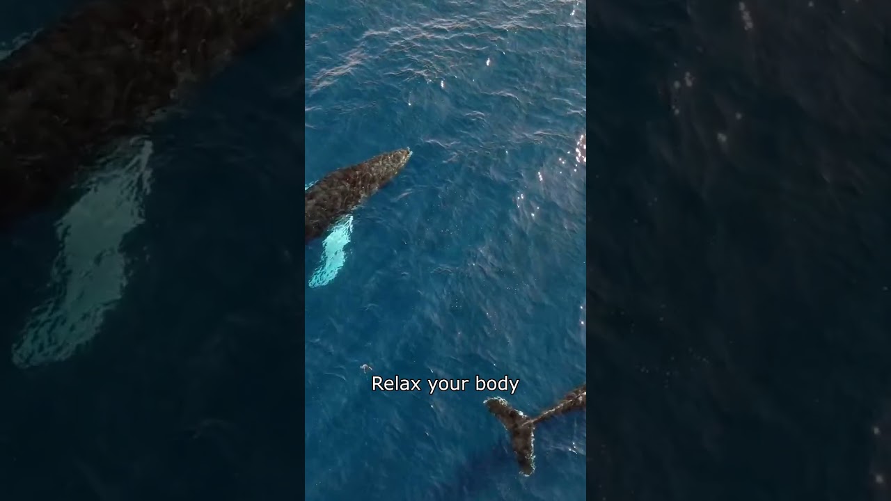 Mindful Breathing: Ocean Serenity ✨ 