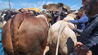 مباشرة من سبيت ضواحي دار بيضاء تاريخ تصوير 7/5/2024