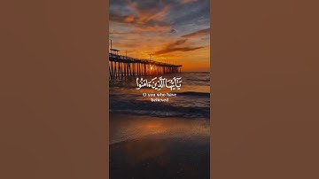 إن الله وملائكته يصلون على النبي يا أيها الذين آمنوا صلوا عليه وسلموا تسليما | القارئ شريف مصطفى