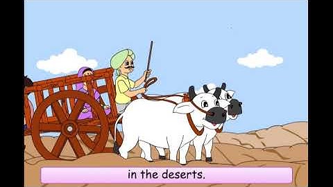 Class 4 EVS Chapter - 1 "Going to School" cbse ncert english Environmental studies Looking Around