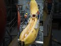 Apple Core Drilling Facility — Juice Extraction Piped Through Banana Aqueduct Pipeline