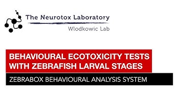 Rapid behavioural ecotoxicity testing with larval stages of zebrafish and ZebraBox analysis system