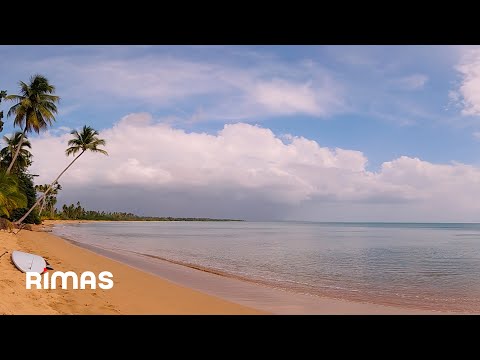 Bad Bunny - Aguacero | Un Verano Sin Ti