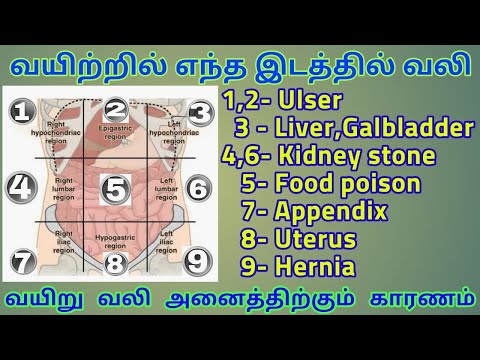 வயிற்று வலி வருவதற்கான காரணங்கள் | stomach pain resons | tamil secure