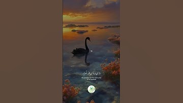 سورة النمل " الآية 48 -- 51 " 🕋