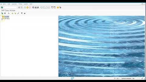 FB70 Customer Invoice in sap