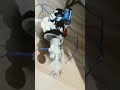benim prototipim güncelleme(v2) #shortvideo #shorts #youtubedayıbeniöneçıkar