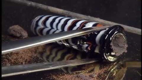 Glassmaking Technique: Core-Formed Glass