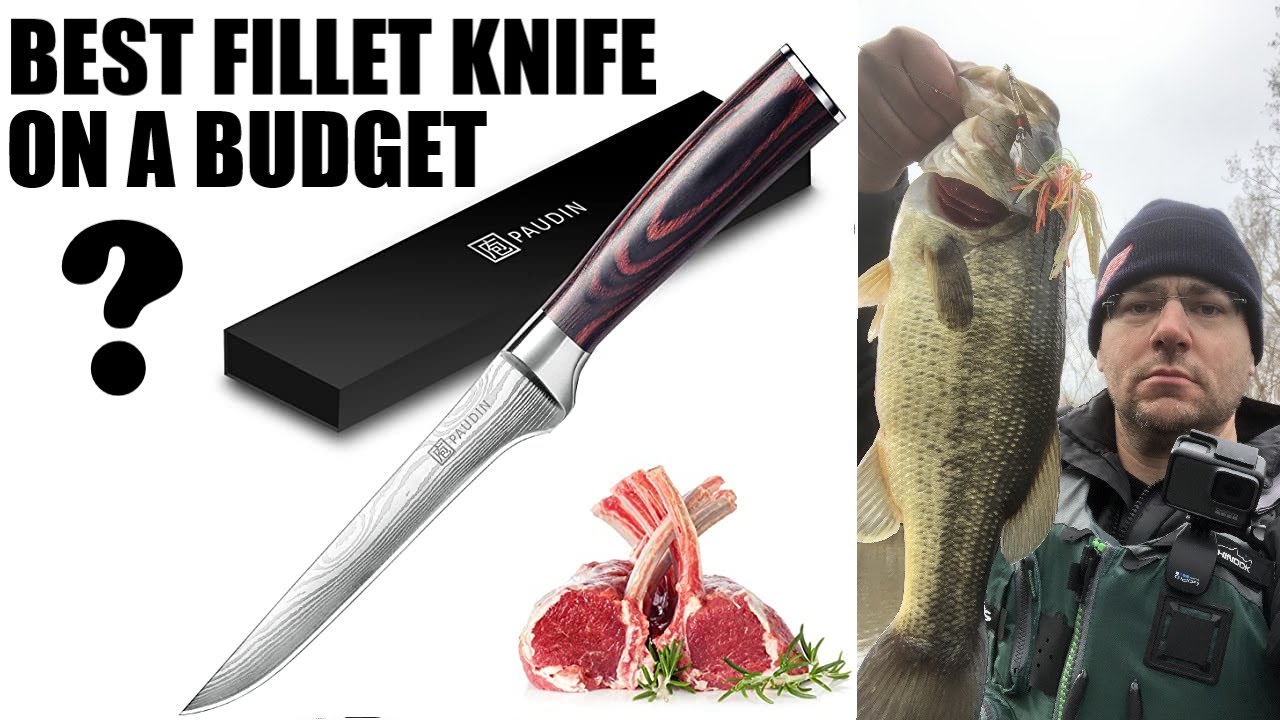 Best Budget Fillet Knife? Paudin 6 Boning Fillet Knife Review