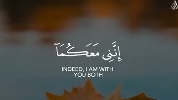 قَالَ لَا تَخَافَا - (آيات من سورة طه) - القارئ شريف مصطفى