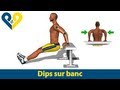 Dips sur banc