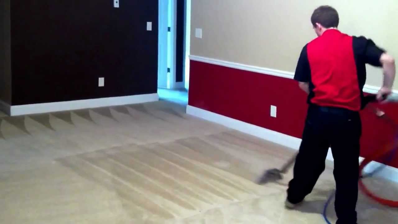 Extreme cleaning eagle carpet care YouTube