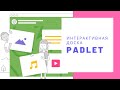 Как работать с интерактивной онлайн доской Padlet? How to use interactive board Padlet?