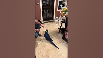 Target training: building relationships