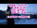 真木ことみ 北極星~ポラリス~ Cover 李佩徽