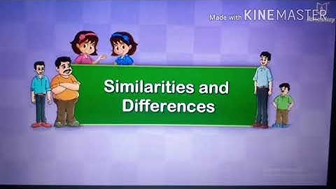 Std 1st E.V.S. 1.2 similarities and differences 1