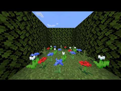Non Euclidian Minecraft (Seamless Teleportation)