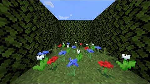 Non Euclidian Minecraft (Seamless Teleportation)