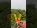 Survival Skills: SMART ideas and Useful in forest#survival #useful #ideas #smart #shorts #camping