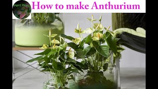 make a Anthurium ] Anthurium 2021 #Shorts