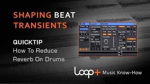 Shaping Beat Transients In Ableton - Loop+ Quick Tip