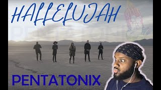 Mind Blown by Pentatonix  Hallelujah | First Time Reaction