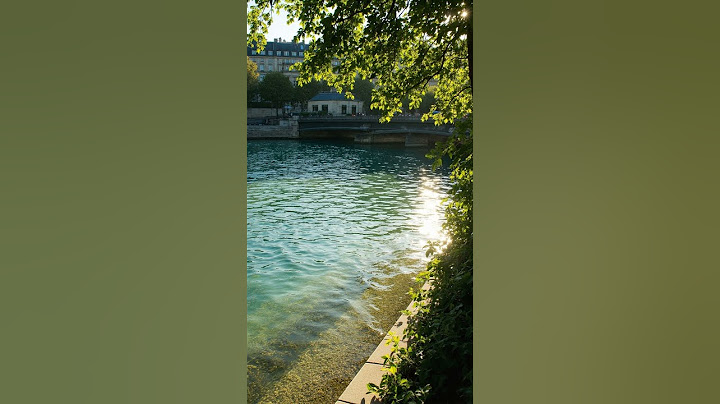 La baignade à Paris est enfin de retour après cent ans