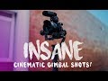 INSANE Gimbal Shots! (Zhiyun Crane 2 + Telescopic Monopod)