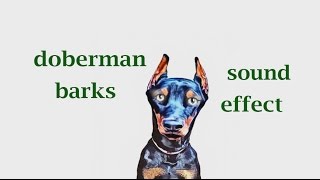 How A Doberman Barks Sound Effect Animation
