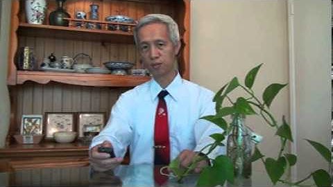 Instructor Introduction for MIS310 course