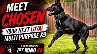 LET'S MEET CHOSEN!