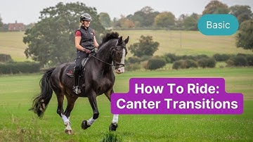 How To Ride Clear Canter Transitions with Amy Blount