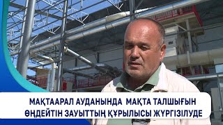 Мақтаарал ауданында мақта талшығын өңдейтін зауыттың құрылысы жүргізілуде