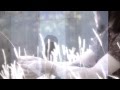 ミゼット初"original song"『さよなら僕のカナリア』