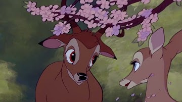 Bambi / Faline - Infinity (Mep Part)