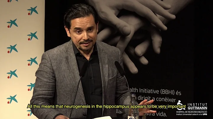 Conference at BBHI inaugural event - Michael Valen...