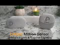 Motion Sensor LED Night Lights | (For Closets, Kitchen, Bathrooms & More) | Lyridz Review