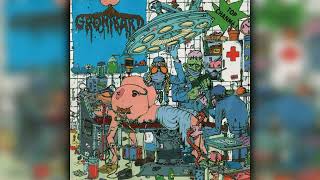 Gronibard - Gronibard (Full Album) (Grindcore / Goregrind)