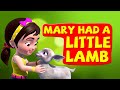 Mary Had A Little Lamb Nursery Rhymes for Children