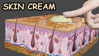 Skin protective cream || How it works || 3D CGI Animation 2021